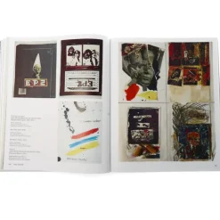 Basquiat : Boom for Real