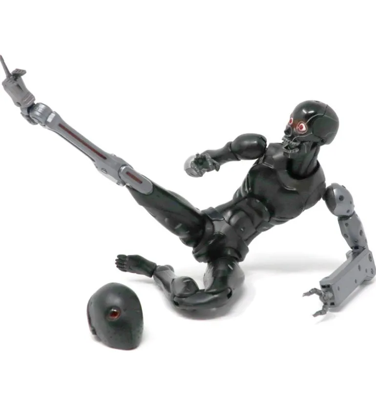 TOA Heavy Industries - 1/6 Anti CaRB and Reprogrammed Body